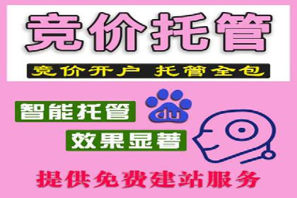 SEM优化师成功案例：助力企业品牌推广